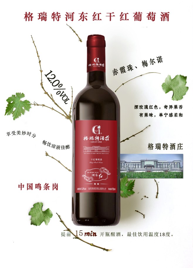 15513132056751.jpg 河东.jpg