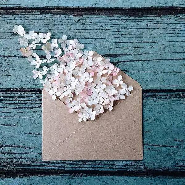 ���з������������������