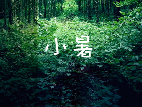 С�� | ���Ѽ���������