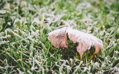 ˪���� �ｫ��������������������