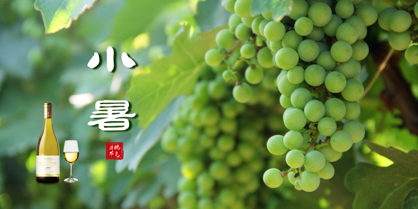 С����������������������ѡ��һ��������������