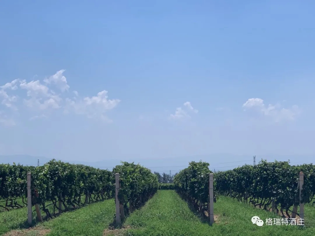 ���� ? �ջ�------���Ѳ���������ʽ�����Ļ