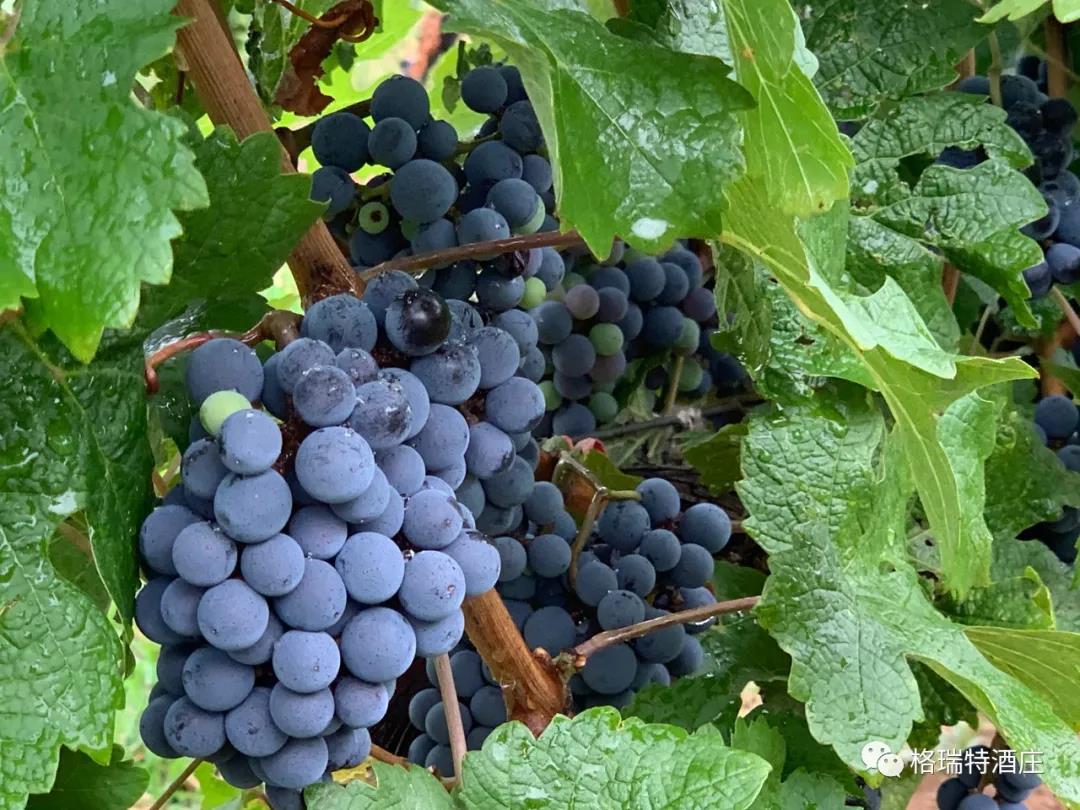 �����ȥ����ȣ����������������ѵ�ת���Ȼ��ô������������