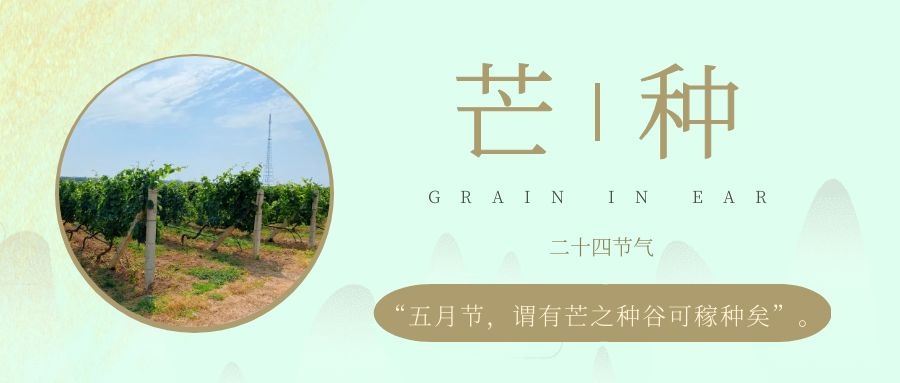 â�� ���紵��԰����������������������ʼæ