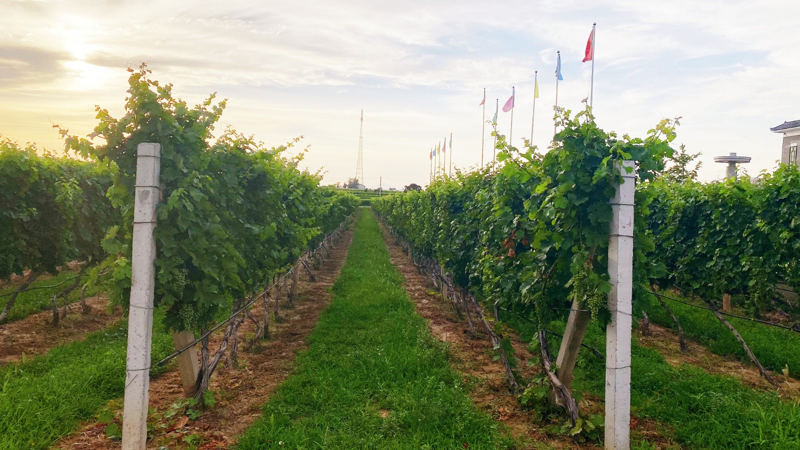 16258822494083.jpg ΢ÐÅͼƬ_20210705090041.jpg