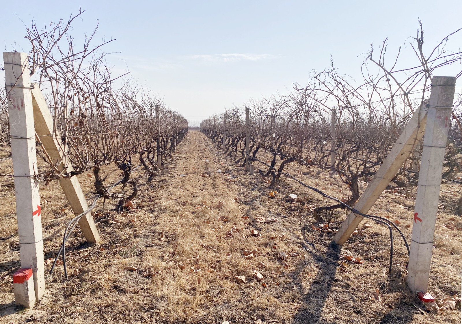 16401394451222.jpg 微信图片_20211220144812.jpg