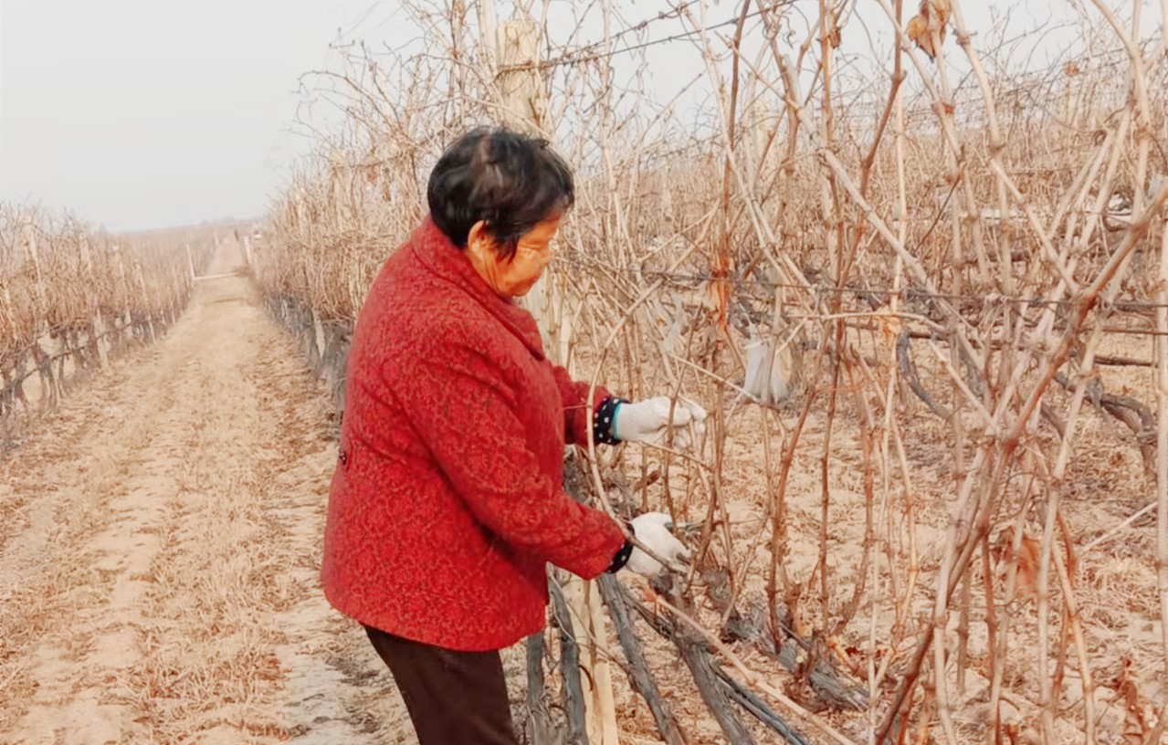 16455807834706.jpg ΢ÐÅͼƬ_20220218093207.jpg