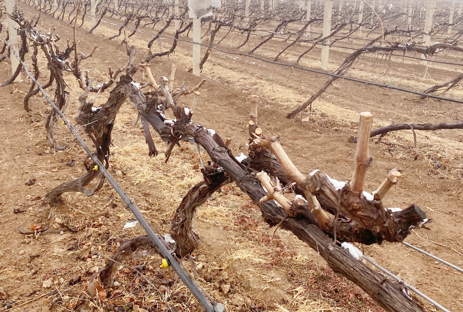 16455807985994.jpg ΢ÐÅͼƬ_20220218150126.jpg