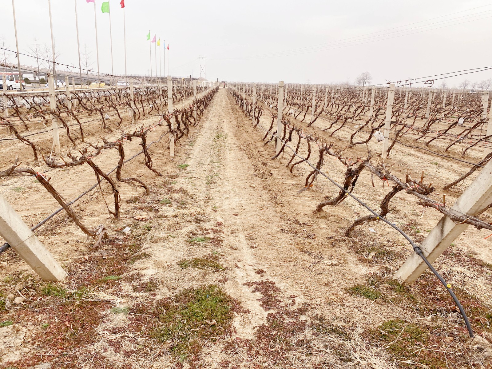 16464604586615.jpg ΢ÐÅͼƬ_20220304102008.jpg