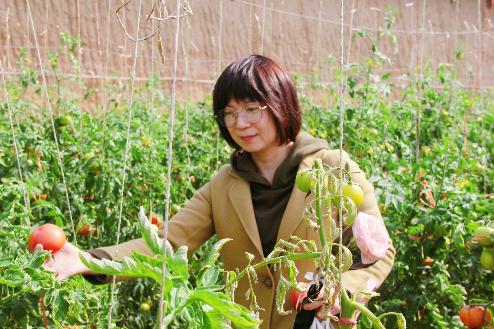 16468732656674.jpg IMG_4148_¸±±¾.jpg