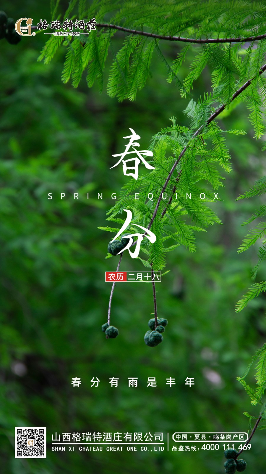 16479114424602.jpg 1.jpg