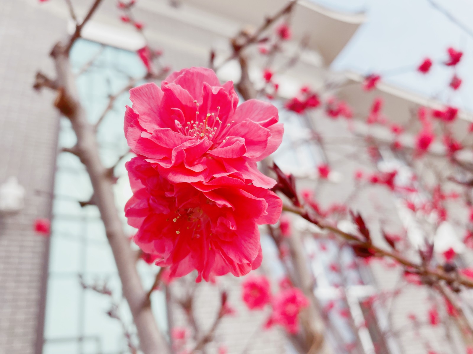 16479114763545.jpg ΢ÐÅͼƬ_20220319111645_¸±±¾.jpg