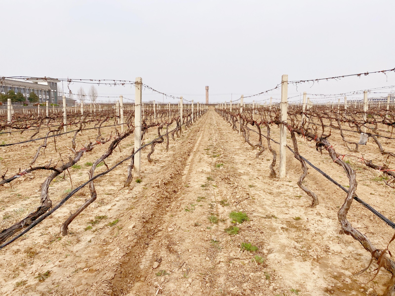 16479114958154.jpg ΢ÐÅͼƬ_20220319112252.jpg