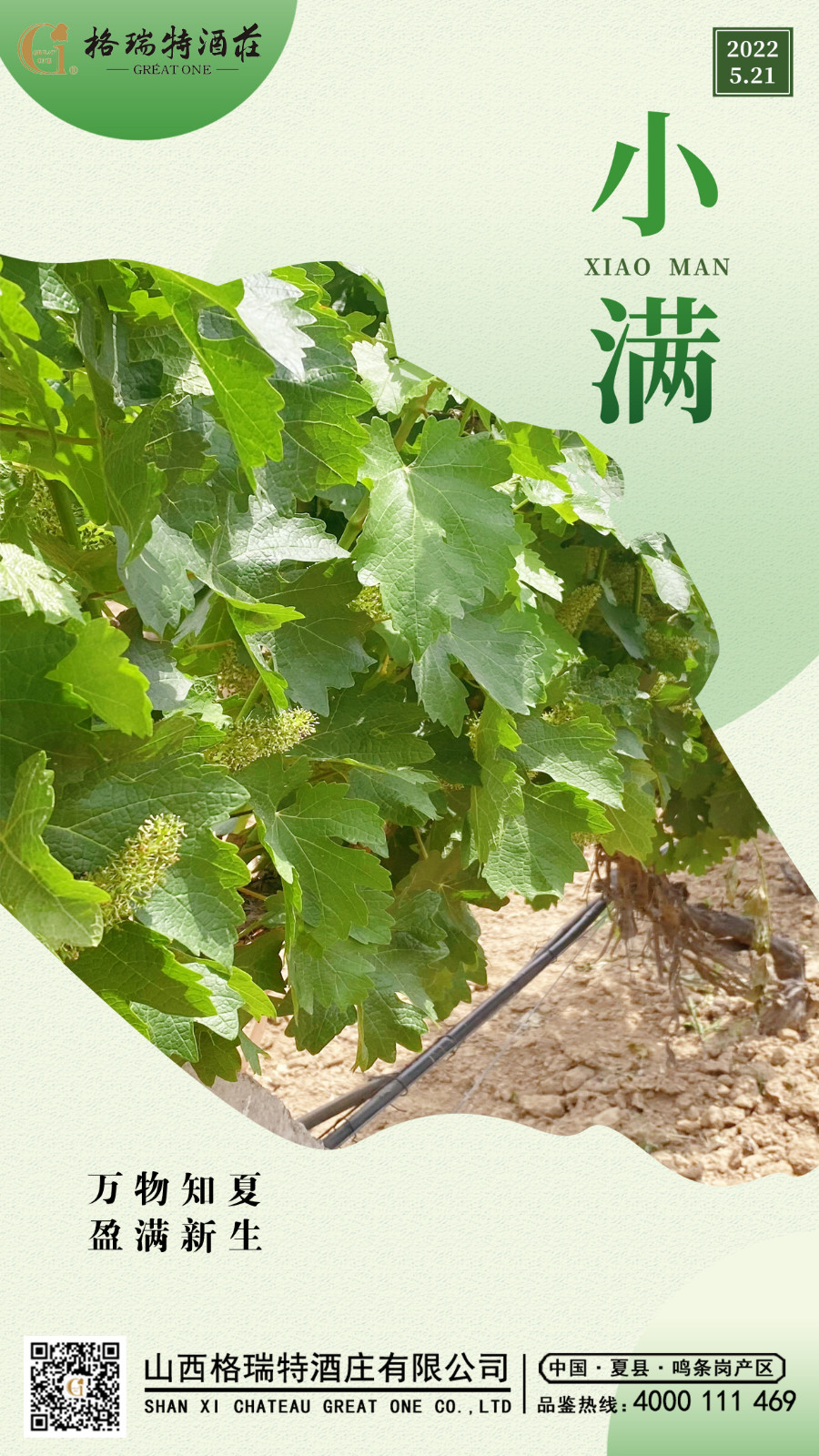 С�� ����.JPG