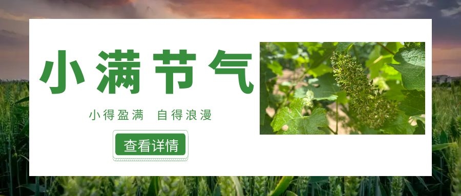 С�� ��С��ӯ�����������������Ե�����~