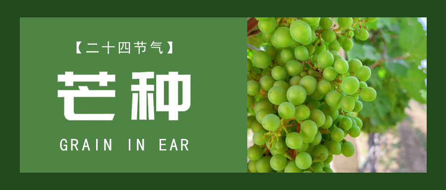 â�� ��æ���л����������������ֵ�����