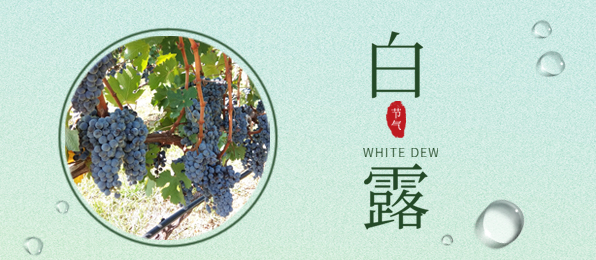 ��¶ ����԰ѭ�磬������������һ����ɫ