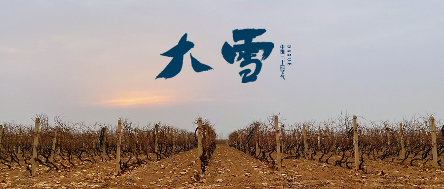 ��ѩ ���������ף�����������ؾ���