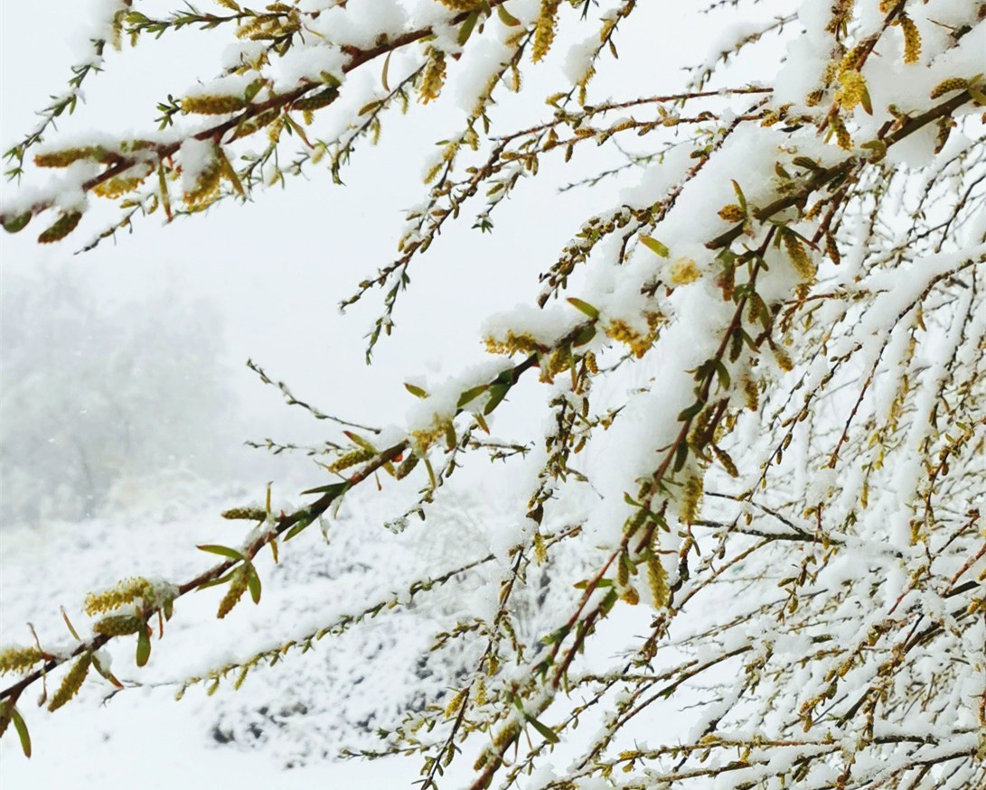 16745282029587.jpg ΢ÐÅͼƬ_20230119151026.jpg