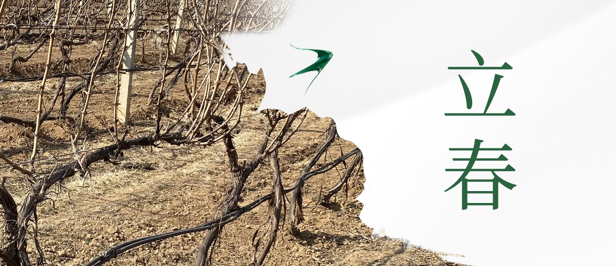 ���� ��������ʼ���������������Դ�