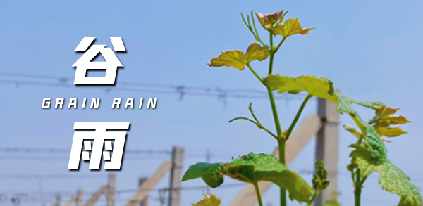 ���� �������ٹȣ�������������������