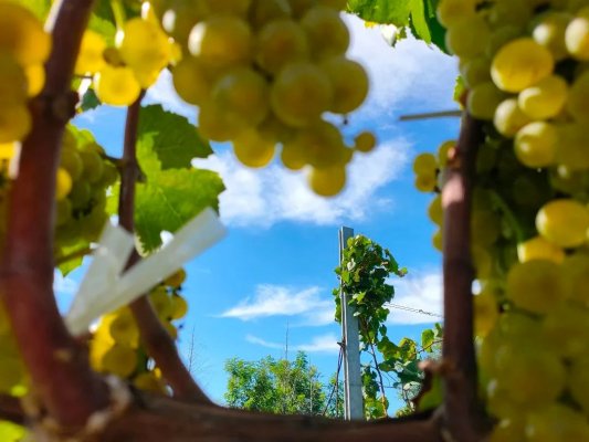 ����ɢ��ε�¶���������������ۣ������أ�һ����|��¶