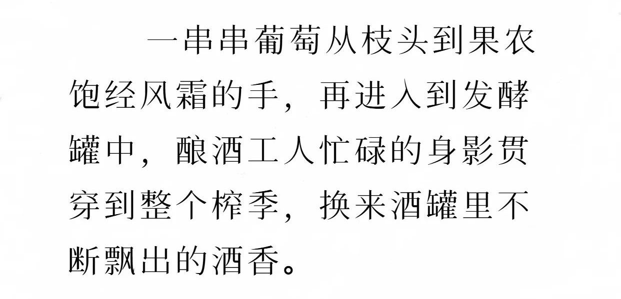 17263602908472.jpg 388aa1870e1a9624fb0e0a6d5833a7ed.jpg