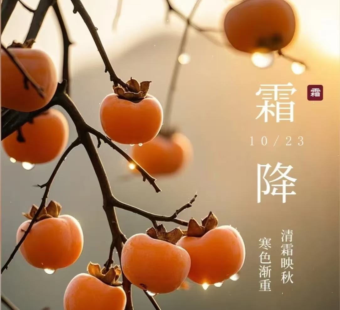 ˪��||����������ɫ������������������������ľҡ��¶Ϊ˪