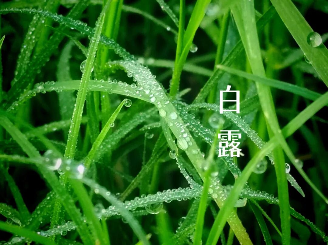 ��¶||˪���������������������������¾�������԰