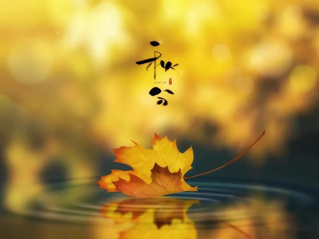 ������������������ڸ�����ׯ԰��ʱ�����