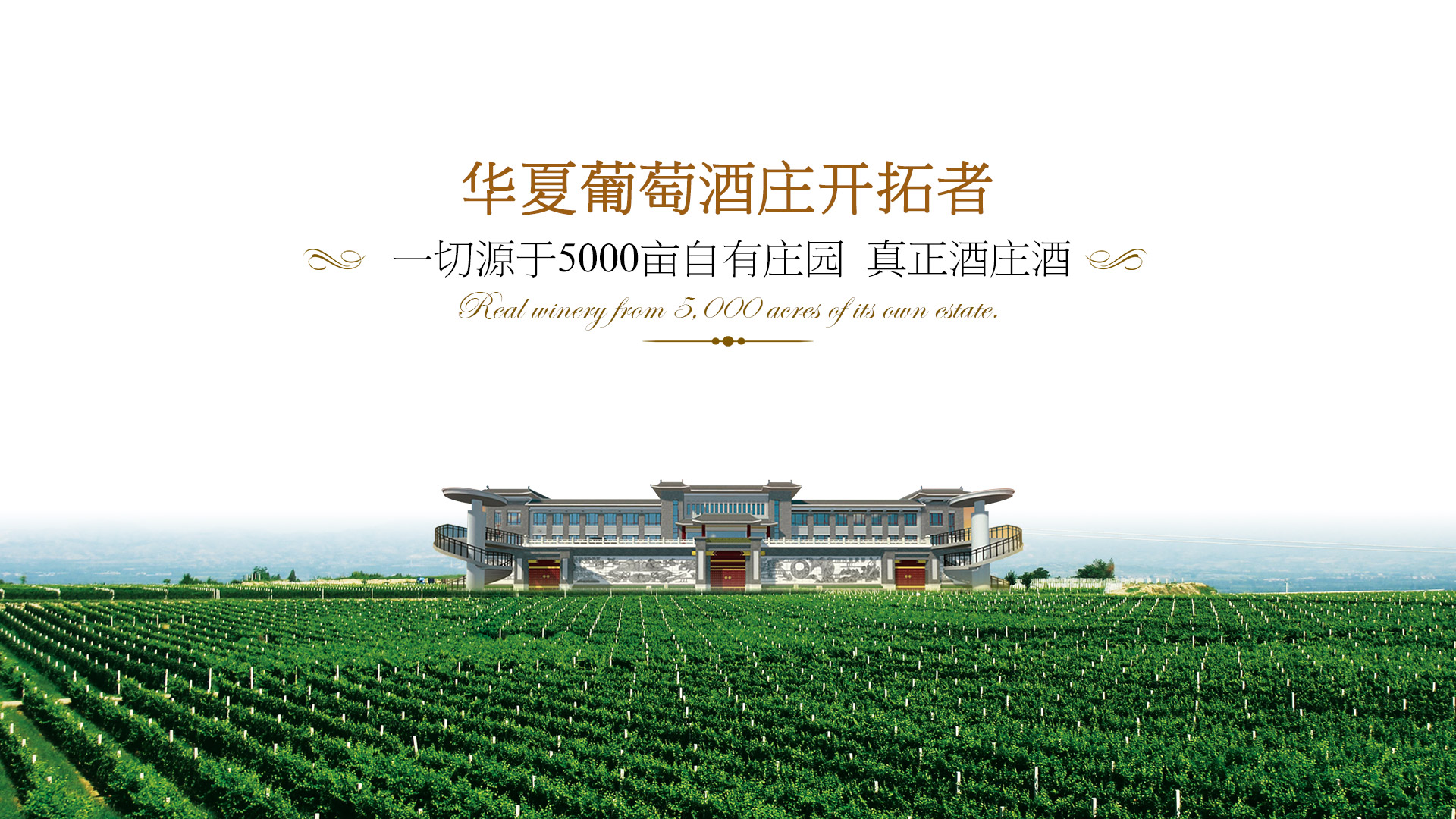 ���ְ�spin8��(�й���½)�ٷ���վ